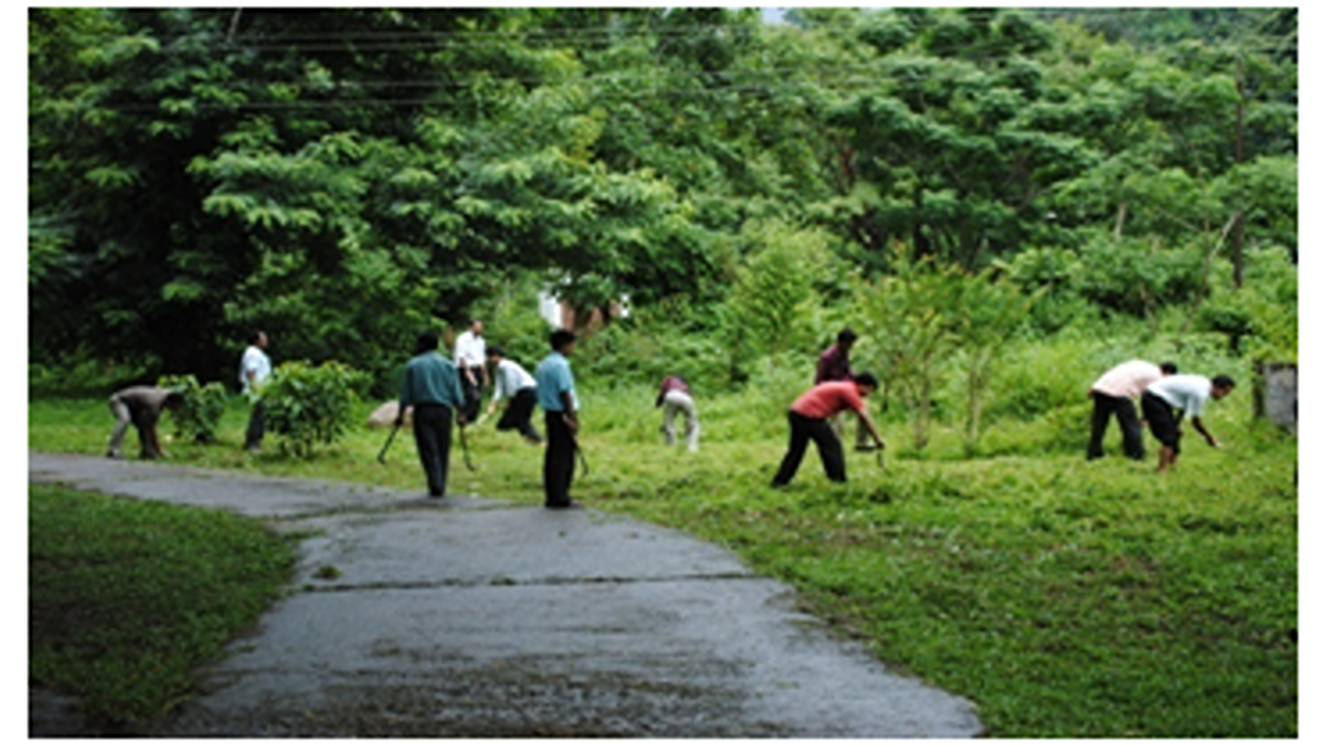 Swachh bharat in college campus